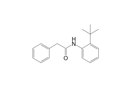 N-(2-tert-butylphenyl)-2-phenyl-acetamide