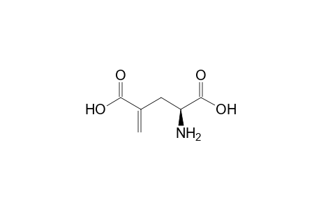 (2S)-2-amino-4-methylene-glutaric acid