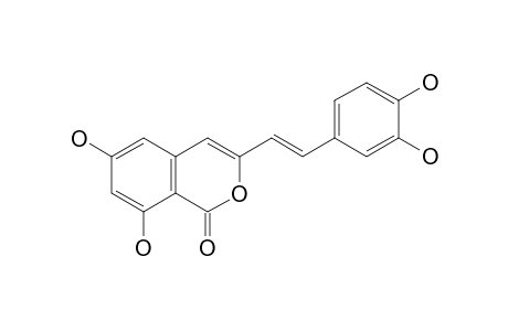 3-[(E)-2-(3,4-dihydroxyphenyl)ethenyl]-6,8-dihydroxyisochromen-1-one