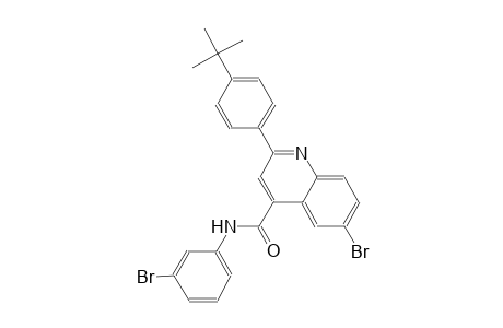 6-bromo-N-(3-bromophenyl)-2-(4-tert-butylphenyl)-4-quinolinecarboxamide