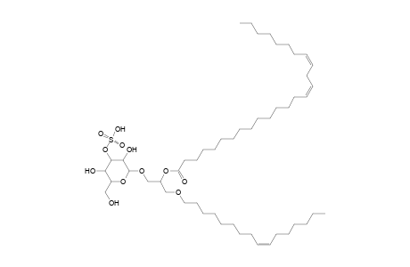 SMGDG O-16:1_26:2