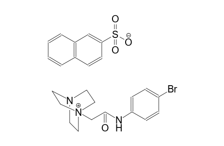 1-[2-(4-bromoanilino)-2-oxoethyl]-4-aza-1-azoniabicyclo[2.2.2]octane 2-naphthalenesulfonate