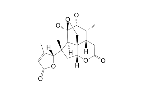 AILANQUASSIN-A