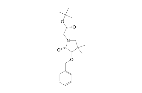 (RS)-(3-BENZYLOXY-4,4-DIMETHYL-2-OXOPYRROLIDIN-1-YL)-ACETIC-ACID-TERT.-BUTYLESTER