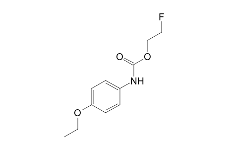 p-ETHOXYCARBANILIC ACID, 2-FLUOROETHYL ESTER