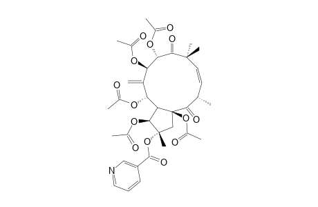 (2R*,3R*,4S*,5R*,7S*,8R*,13R*,15R*)-3,5,7,8,15-PENTAACETOXY-2-NICOTINOYLOXY-9,14-DIOXOJATROPHA-6(17),11-DIENE