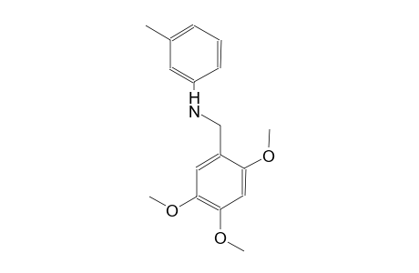 3-methyl-N-(2,4,5-trimethoxybenzyl)aniline