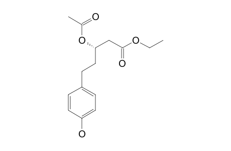 ETHYL_3-O-ACETYLNIDULOIC_ACID;ETHYL-(S)-3-ACETOXY-5-(PARA-HYDROXYPHENYL)-PENTANOATE
