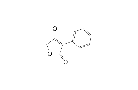 4-Hydroxy-3-phenyl-2(5H)-furanone