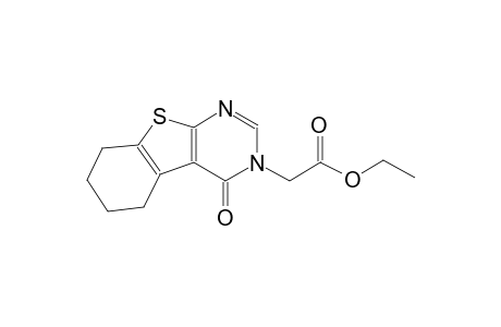 ethyl (4-oxo-5,6,7,8-tetrahydro[1]benzothieno[2,3-d]pyrimidin-3(4H)-yl)acetate