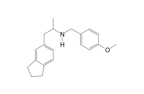 3,4-PA N-(4-methoxybenzyl)