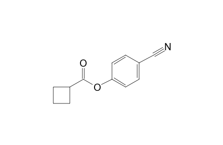 Cyclobutanecarboxylic acid, 4-cyanophenyl ester