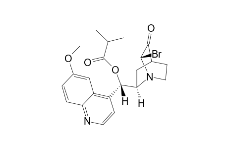 (2S,8R,9S)-2-Bromo-9-isobutyryloxyruban-3-one