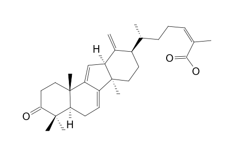 TYROMYCIC-ACID-F;(24Z)-3-OXO-14-(13->12)-ABEO-LANOSTA-7,9(11),13(18),24-TETRAEN-26-OIC-ACID