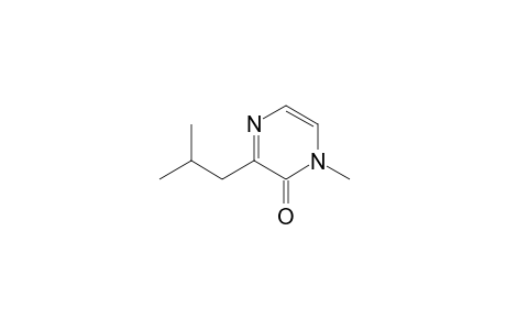 1-Methyl-3-(2-methylpropyl)-2-pyrazinone