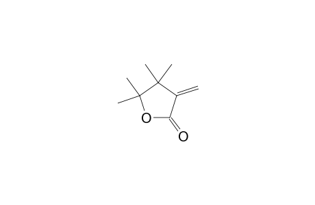 4,4,5,5-tetramethyl-3-methylideneoxolan-2-one