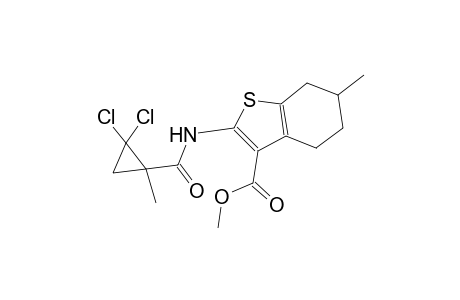 methyl 2-{[(2,2-dichloro-1-methylcyclopropyl)carbonyl]amino}-6-methyl-4,5,6,7-tetrahydro-1-benzothiophene-3-carboxylate