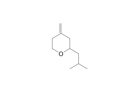 2H-Pyran, tetrahydro-4-methylene-2-(2-methylpropyl)-