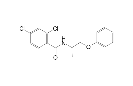 2,4-dichloro-N-(1-methyl-2-phenoxyethyl)benzamide