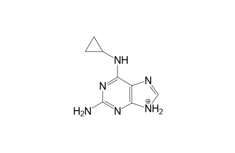 Abacavir-M (COOH) MS3_2