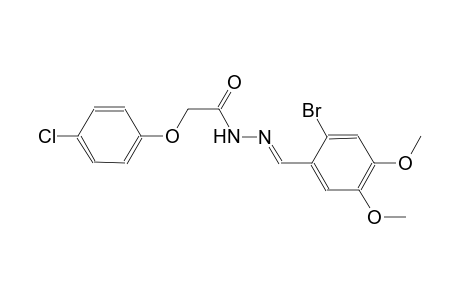 N'-[(E)-(2-bromo-4,5-dimethoxyphenyl)methylidene]-2-(4-chlorophenoxy)acetohydrazide