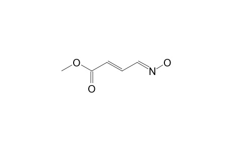 (E,4E)-4-hydroximinobut-2-enoic acid methyl ester