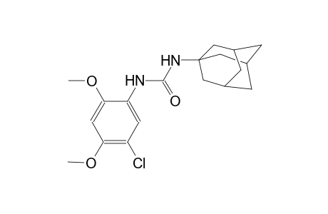 N-(1-adamantyl)-N'-(5-chloro-2,4-dimethoxyphenyl)urea