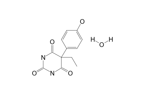 5-Ethyl-5-(4-hydroxyphenyl)barbituric acid monohydrate