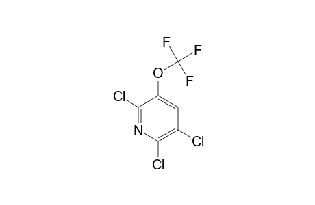 2,5,6-TRICHLORO-3-TRIFLUOROMETHOXY-PYRIDINE