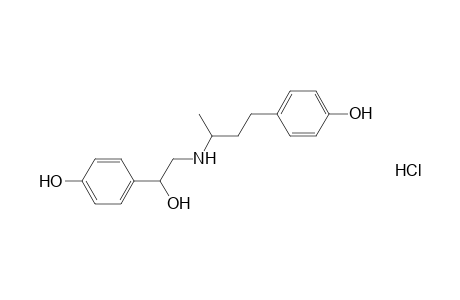 Ractopamine HCl