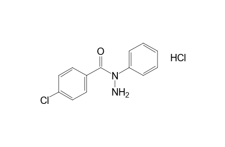 p-chlorobenzoic acid, 1-phenylhydrazide, monohydrochloride
