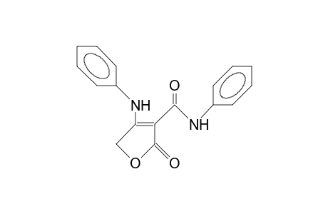 4-Phenylamino-3-(N-phenyl-carbamoyl)-2(5H)-furanone