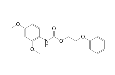 Benzoic acid, (2,4-dimethoxyphenyl)carbamic acid 2-phenoxyethyl ester