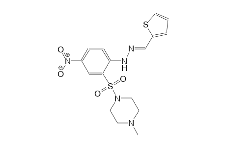 2-thiophenecarbaldehyde {2-[(4-methyl-1-piperazinyl)sulfonyl]-4-nitrophenyl}hydrazone