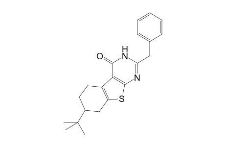 2-Benzyl-7-tert-butyl-5,6,7,8-tetrahydro-3H-benzo[4,5]thieno[2,3-d]pyrimidin-4-one