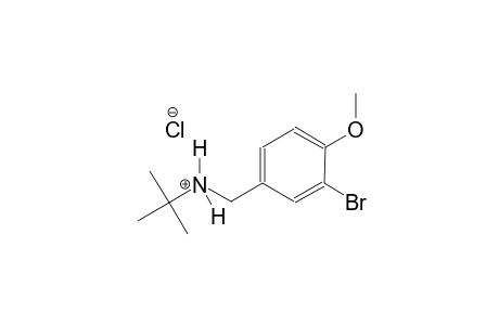 N-(3-bromo-4-methoxybenzyl)-2-methyl-2-propanaminium chloride