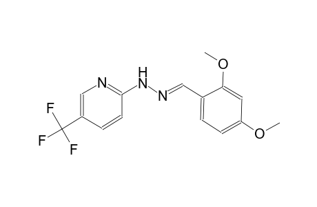 2,4-dimethoxybenzaldehyde [5-(trifluoromethyl)-2-pyridinyl]hydrazone