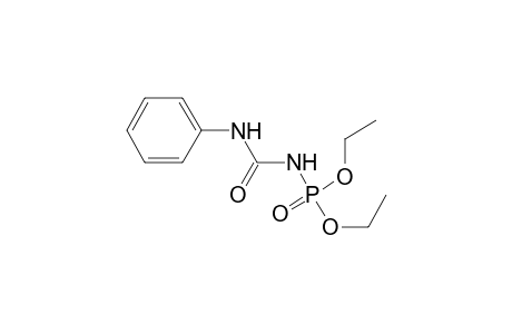 N-Phenyl-N'-diethoxyphosphinoylurea