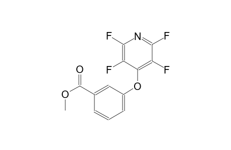 benzoic acid, 3-[(2,3,5,6-tetrafluoro-4-pyridinyl)oxy]-, methyl ester