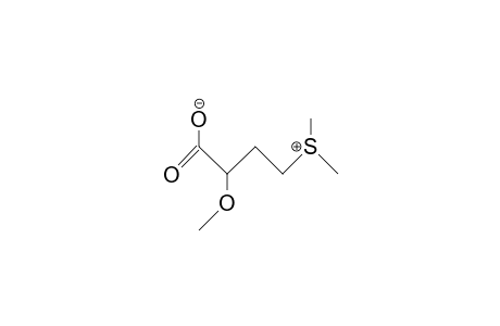 (-)-4-Dimethylsulfonio-2-methoxy-butyrate