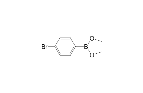 2-(4-Bromophenyl)-1,3,2-dioxaborolane