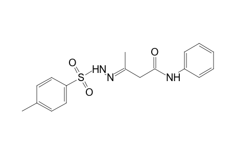p-toluenesulfonic acid, [1-methyl-2-(phenylcarbamoyl)ethylidene]hydrazide