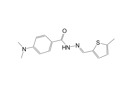 4-(dimethylamino)-N'-[(E)-(5-methyl-2-thienyl)methylidene]benzohydrazide