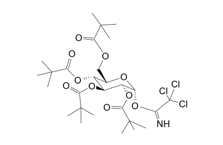O-(2,3,4,6-Tetra-O-pivaloyl-a-d-glucopyranosyl)-trichloroacetimidate