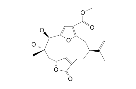 SINUMAXIMOL-B