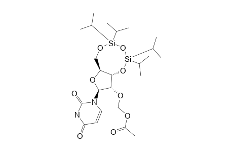 2'-O-ACETYLOXYMETHYL-3',5'-O-(TETRAISOPROPYLDISILOXANE-1,3-DIYL)-URIDINE