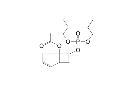 (5-ACETOXYBICYCLO[3.2.0]HEPTA-3,6-DIEN-6-YL)DIPROPYLPHOSPHATE