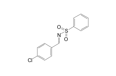 N-[(4-Chlorophenyl)methylidene]benzenesulfonamide