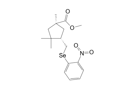 (1S,3S,4R)-Methyl 3-[[(o-Nitrophenyl)seleno]methyl-1,4,4-trimethylcyclopentanecarboxylate
