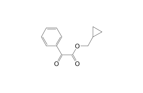 2-keto-2-phenyl-acetic acid cyclopropylmethyl ester